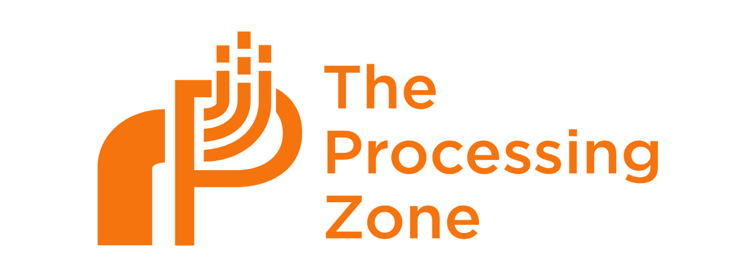 The Processing Zone